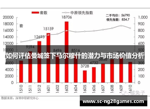 如何评估曼城签下马尔穆什的潜力与市场价值分析
