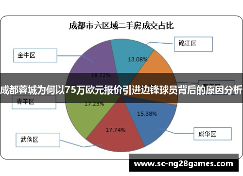 成都蓉城为何以75万欧元报价引进边锋球员背后的原因分析
