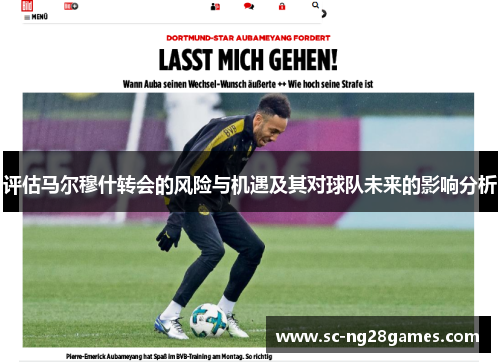 评估马尔穆什转会的风险与机遇及其对球队未来的影响分析
