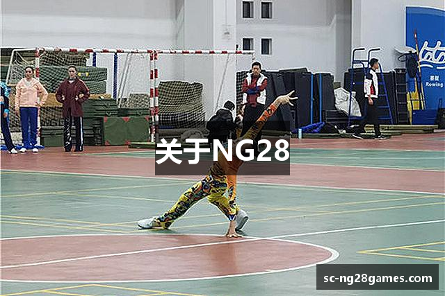 关于NG28